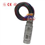  UE压力开关12SHSN2G UE全不锈钢棒状压力开关