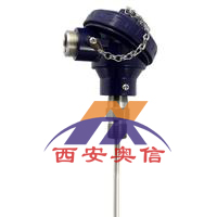 wika一体化温度变送器TR10+T24.10