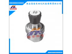 美国GO减压器 PR1-1C11Q3G111 美国GO阀门