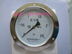Y-100ZT 轴向带边压力表