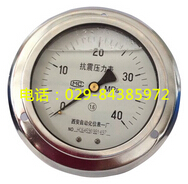 YTN-100ZT 轴向带边抗震压力表
