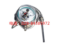 西安    WTZ-288B-F全不锈钢电接点温度计