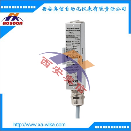  BGU，BGU-A BGU-AHT磁性微动开关 科普乐液位开关 KSR磁性液位开