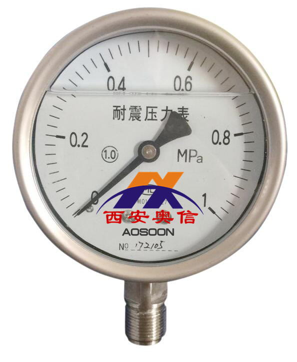 不锈钢耐震 压力表