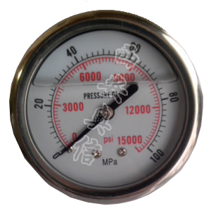 超高压不锈钢耐震压力表 AXCG-100BF