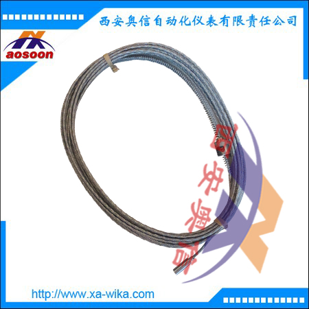 TR53德国WIKA引线式热电阻温度计 热电阻TR53