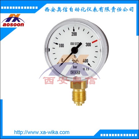 111.31.050德国 wika压力表黄铜压力表波登管压力表