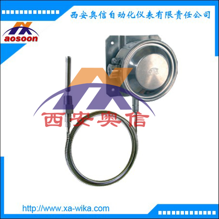 WIKA压力表 TWG 温度开关威卡温度计