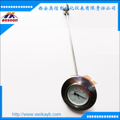 浮球液位计UQZ-2-0013 指针式显示液位计