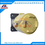 压力开关 BA BAX 波登管压力开关 德国wika威卡开关