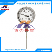 气包式温度计F73.100 温度计F73.160德国WIKA
