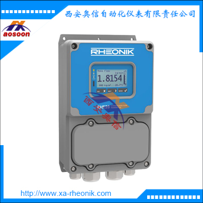 德国RHEONIK数显流量变送器 RHE28质量流量计