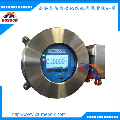德国RHE21 防爆变送器 大管径质量流量变送器