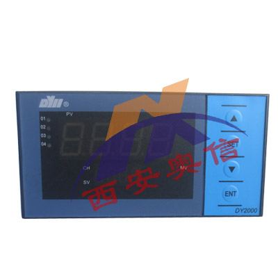 DY2000东辉温度巡检仪\DY21D02164M\AC85-265V东辉大延