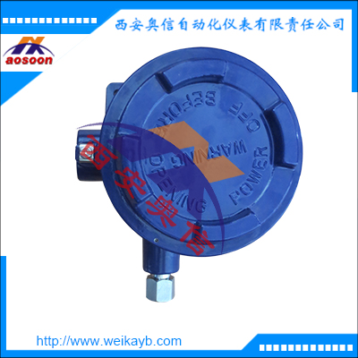 BAUN 0/40BAR意大利Cella开关防爆压力控制器 德国wika